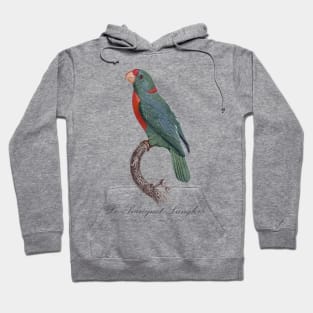 Le Perroquet Langlois Parrot - 19th century Jacques Barraband Illustration Hoodie